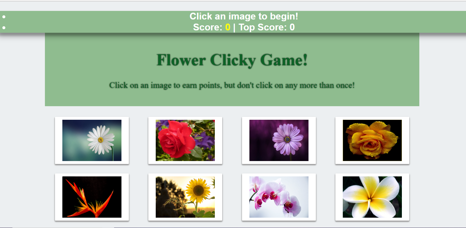 io/flowerMemoryGame.P